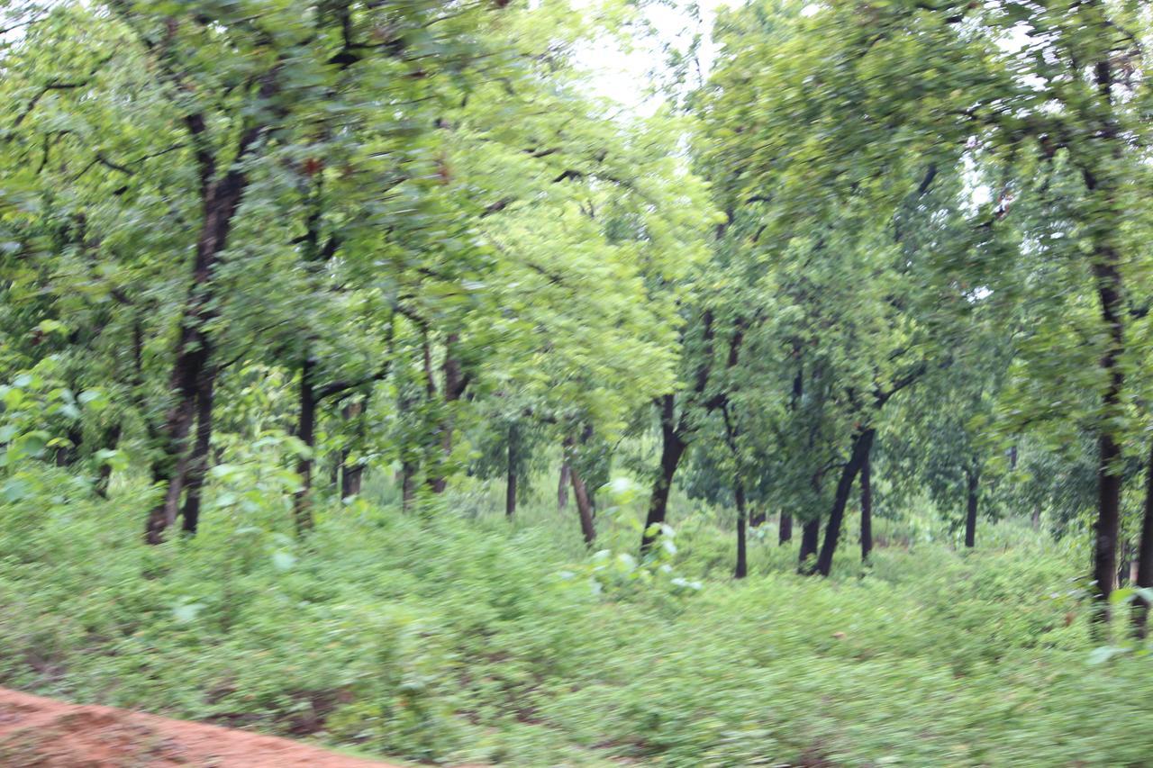 Bed and Breakfast The Residency Amarkantak Экстерьер фото